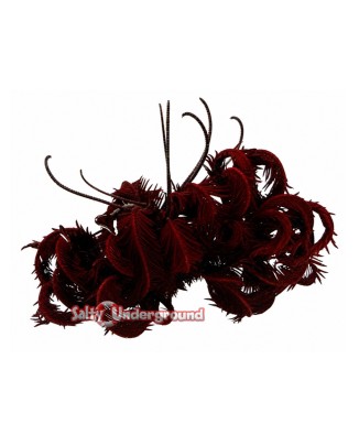 Salty Underground: Feather Star - Feather Starfish - Deep Red