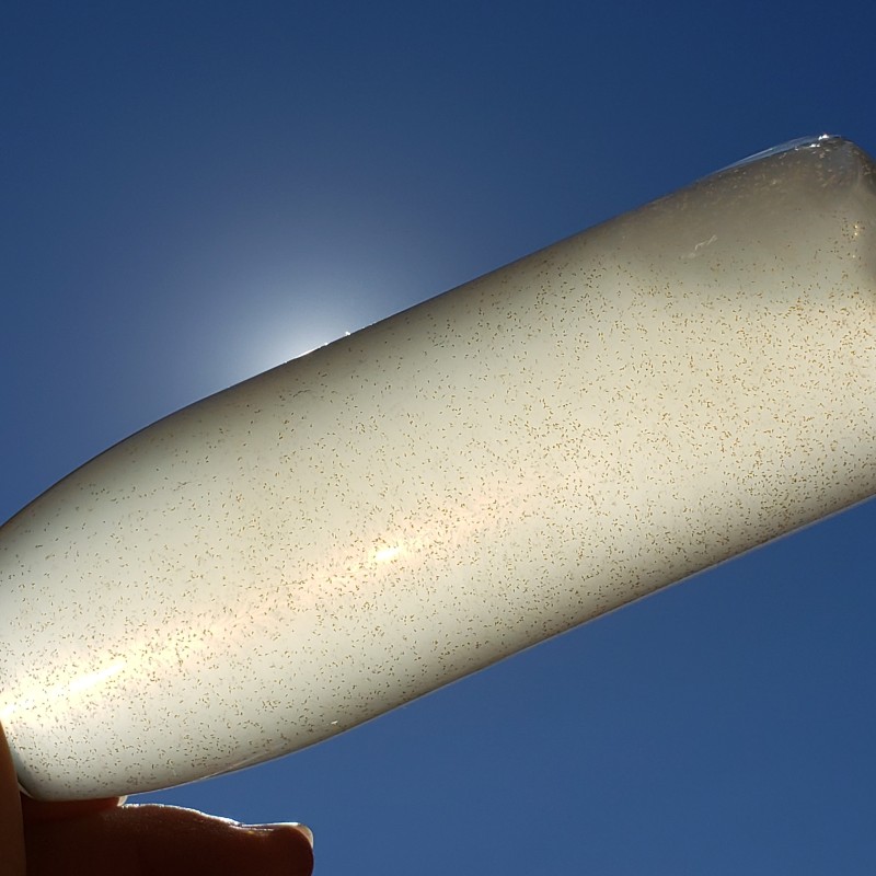 Salty Underground Live Baby Brine Shrimp 8 ounces