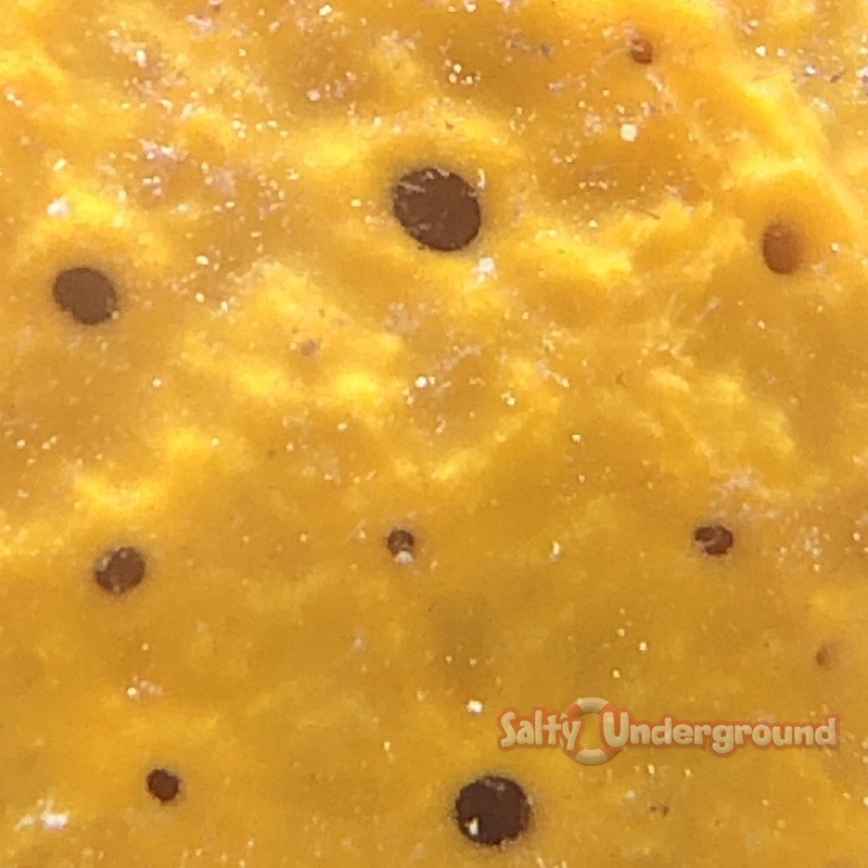 Salty Underground: Yellow Moon Sponge (Cinachyra Alloclada)