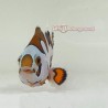 Orange Storm Clownfish-Captive Bred